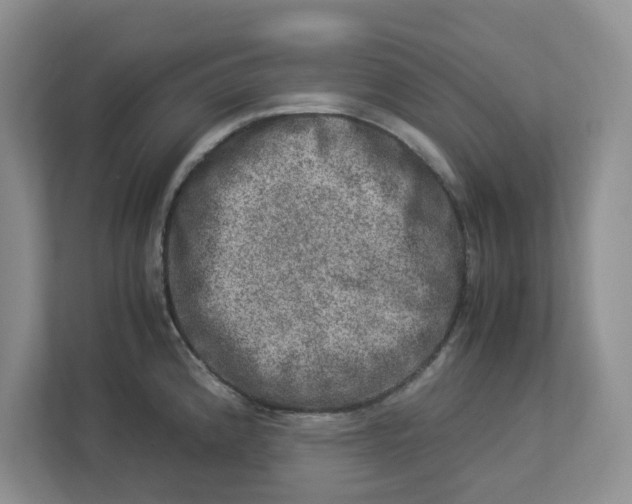 X0000112951192200909141401