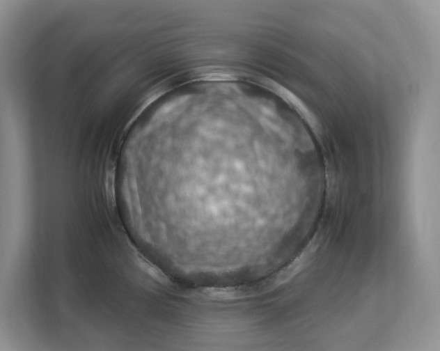 X0000112951194200909141401