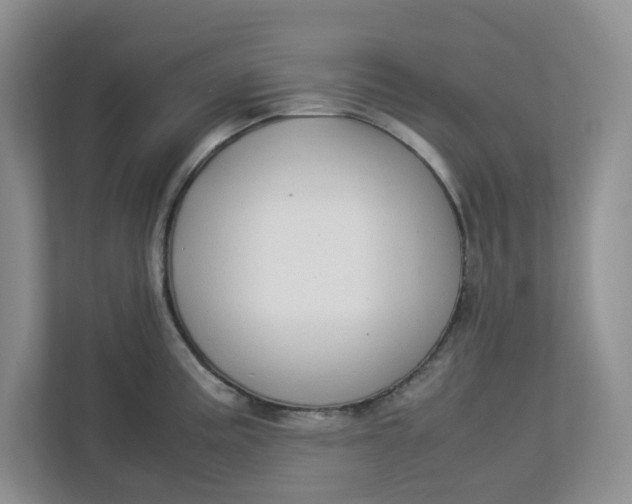 X0000112951195200909141401