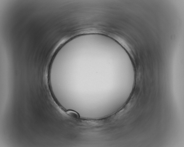 X0000112951197200909141401