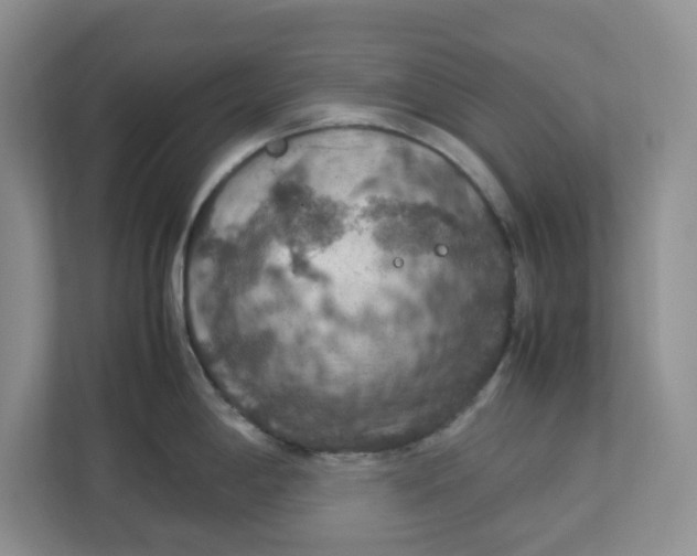 X0000112951198200909141401