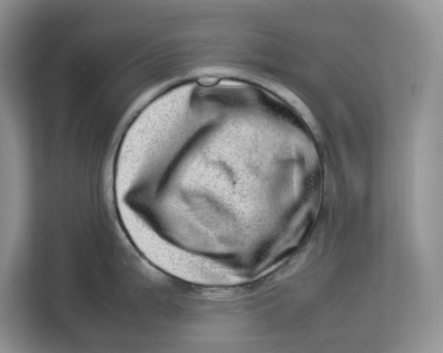 X0000112951199200909141401