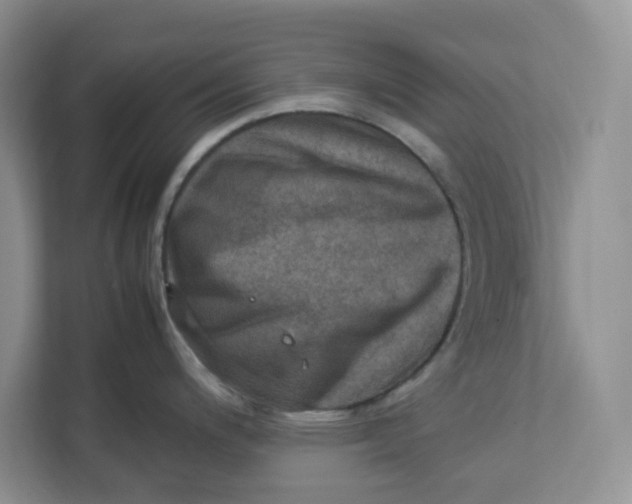 X0000112951200200909141401