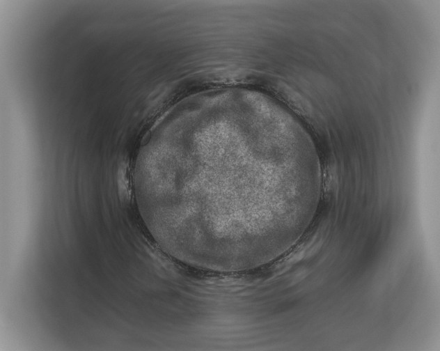 X0000112951202200909141400