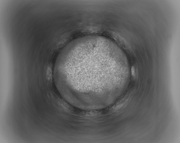 X0000112951203200909141400