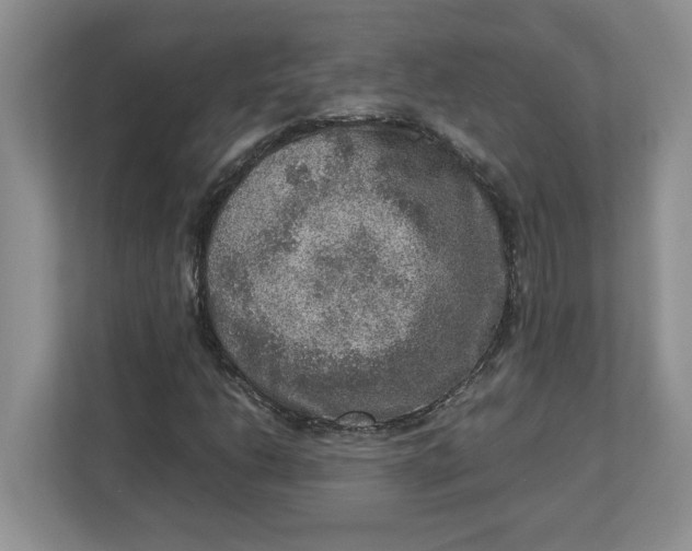 X0000112951206200909141400