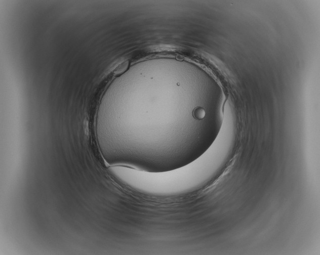 X0000112951209200909141400