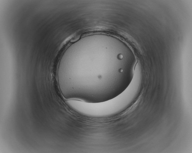 X0000112951210200909141400