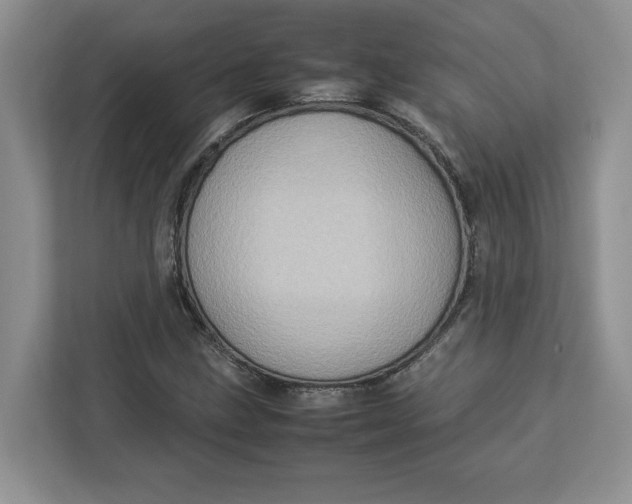 X0000112951211200909141400