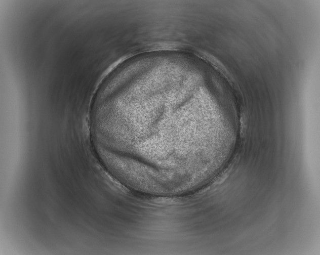 X0000112951212200909141400