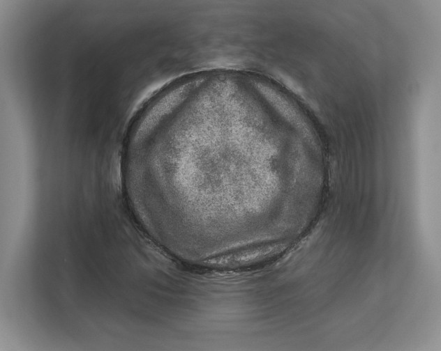 X0000112951214200909141400