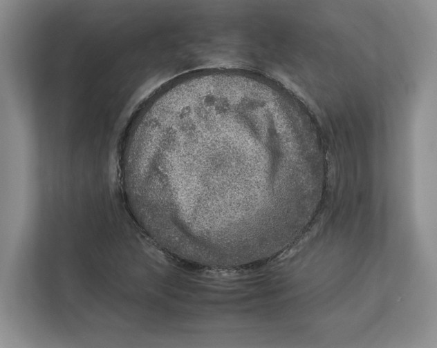 X0000112951215200909141400