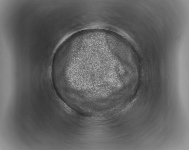 X0000112951216200909141400