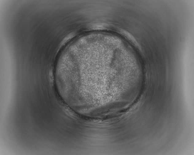 X0000112951218200909141400