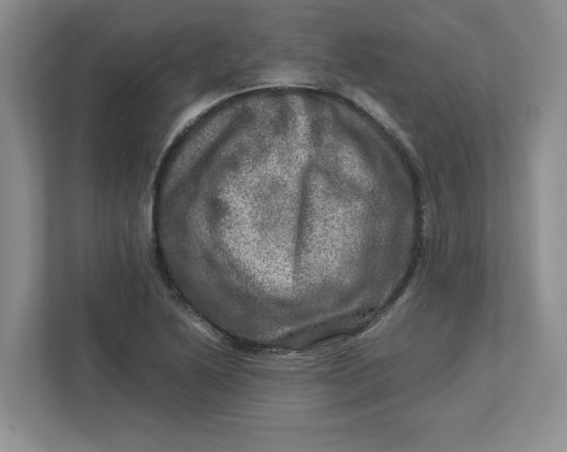 X0000112951222200909141400