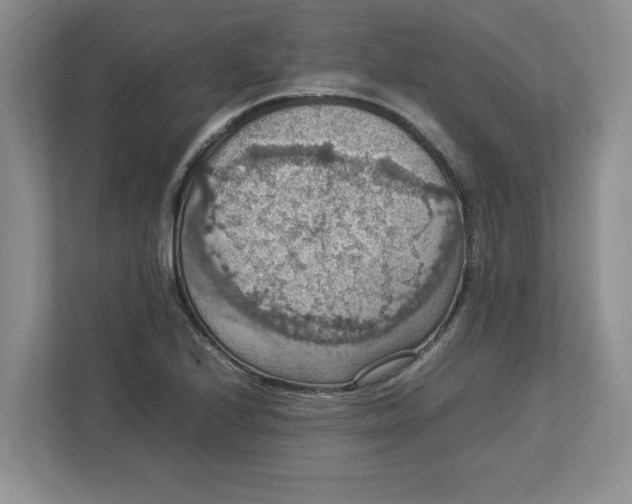 X0000112951224200909141400