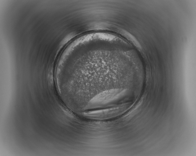 X0000112951226200909141400