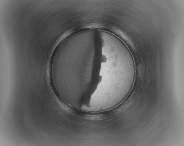 X0000112951229200909141401