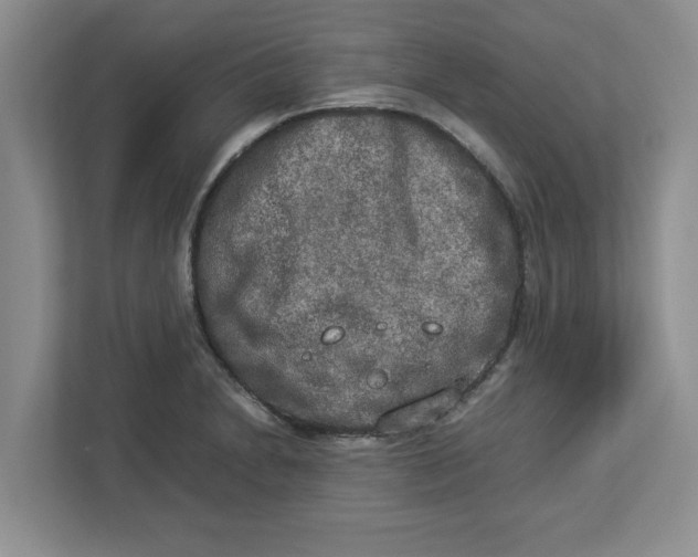 X0000112951230200909141401