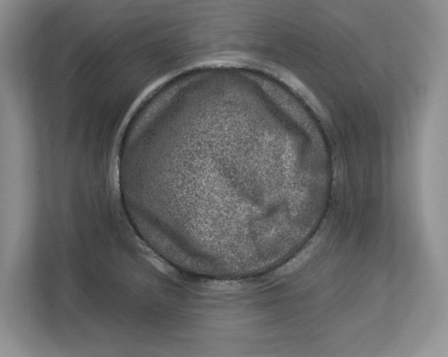 X0000112951232200909141401