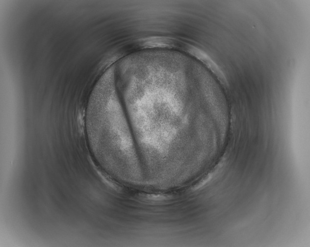 X0000112951233200909141401