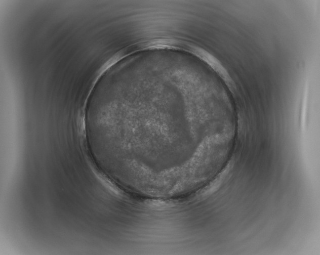 X0000112951234200909141401