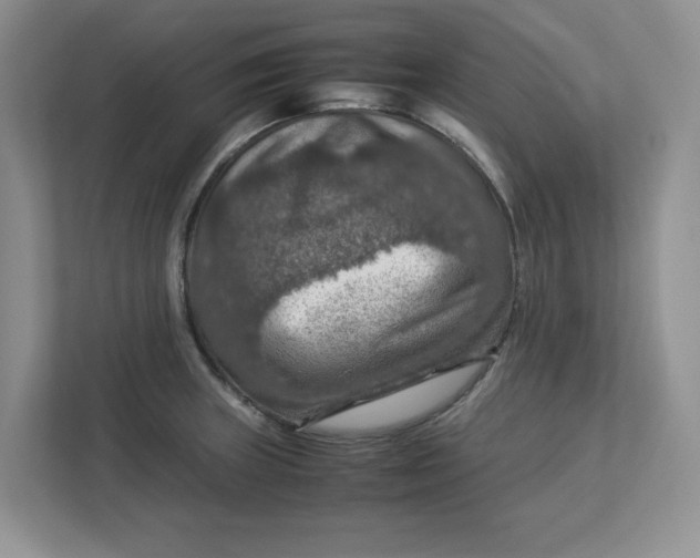 X0000112951235200909141401