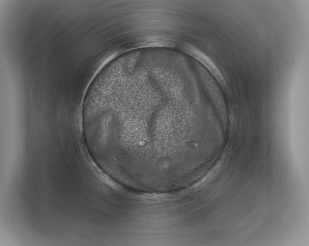 X0000112951236200909141401