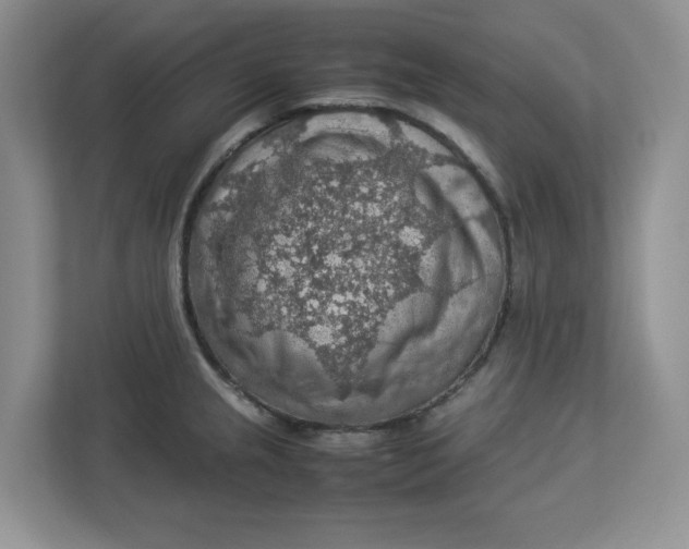 X0000112951237200909141401