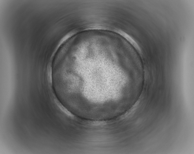 X0000112951238200909141401