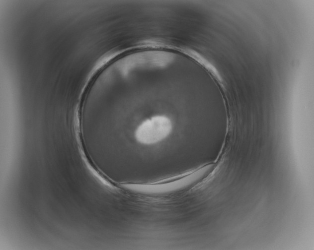 X0000112951239200909141401