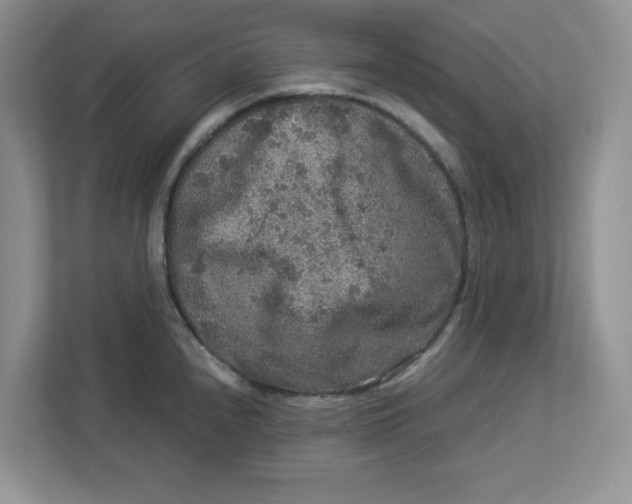 X0000112951240200909141401