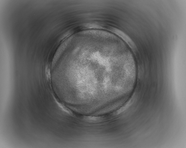 X0000112951241200909141401