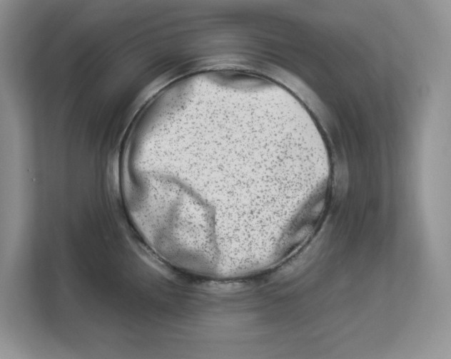 X0000112951242200909141401