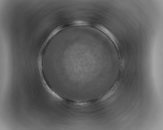 X0000112951243200909141401