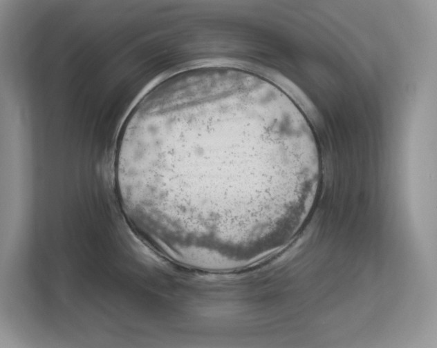 X0000112951244200909141401