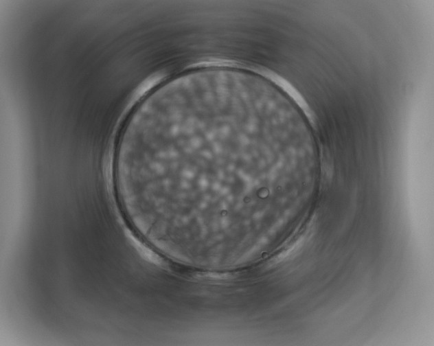 X0000112951245200909141401