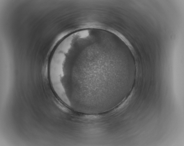 X0000112951246200909141401