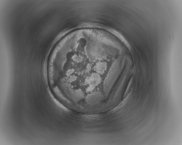 X0000112951247200909141401