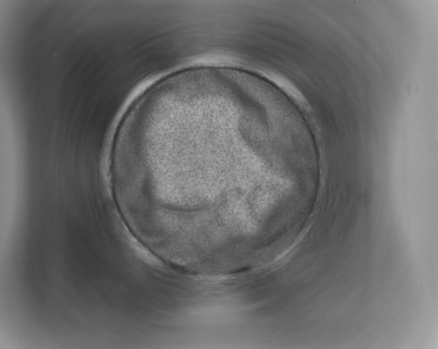 X0000112951248200909141401