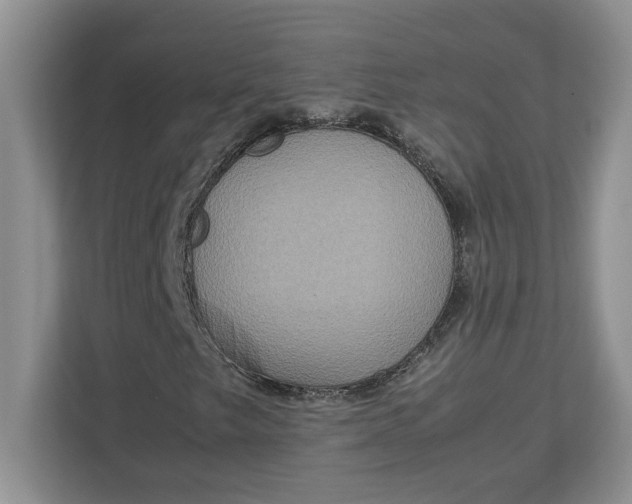 X0000112951249200909141400