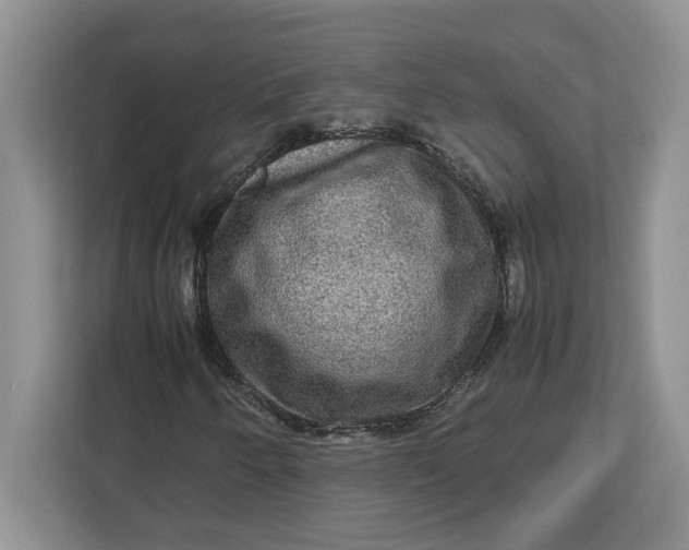 X0000112951250200909141400