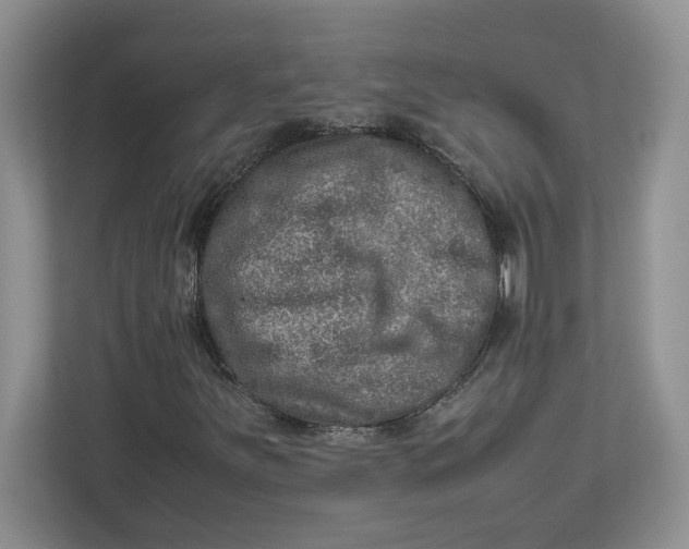 X0000112951251200909141400