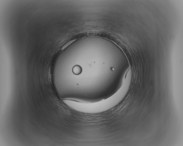 X0000112951252200909141400