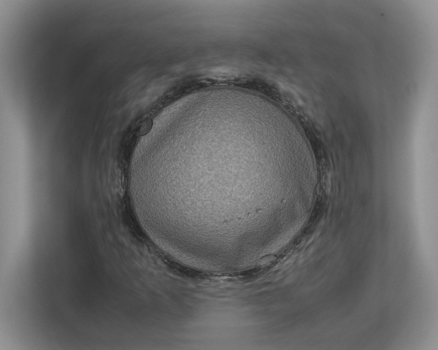 X0000112951253200909141400