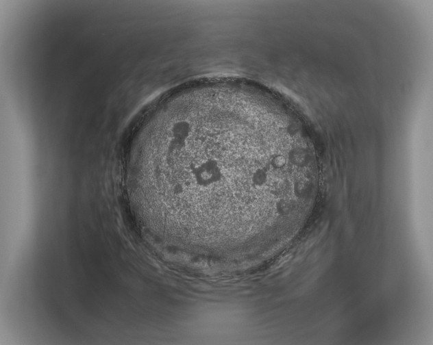 X0000112951255200909141400