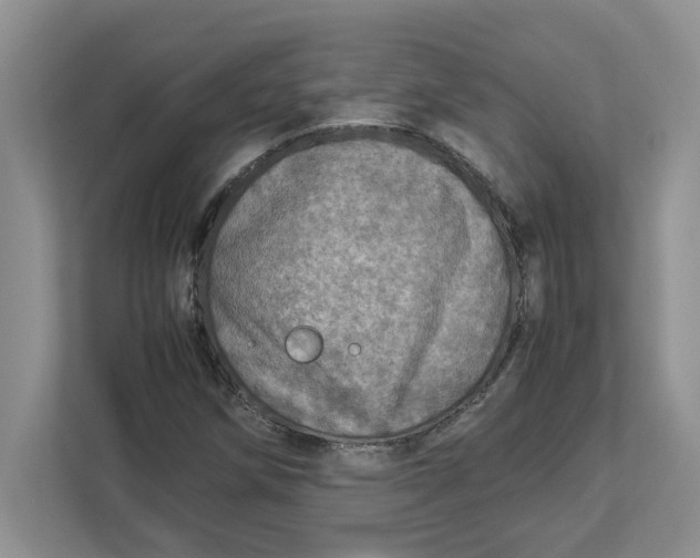 X0000112951258200909141400