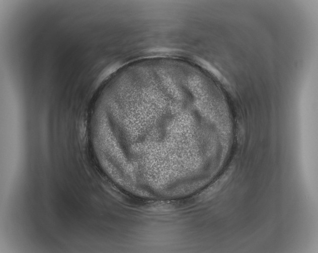 X0000112951259200909141400