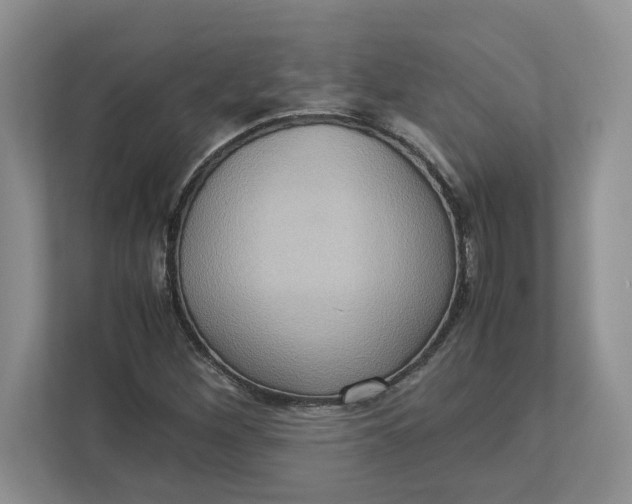 X0000112951260200909141400