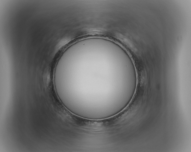 X0000112951261200909141400